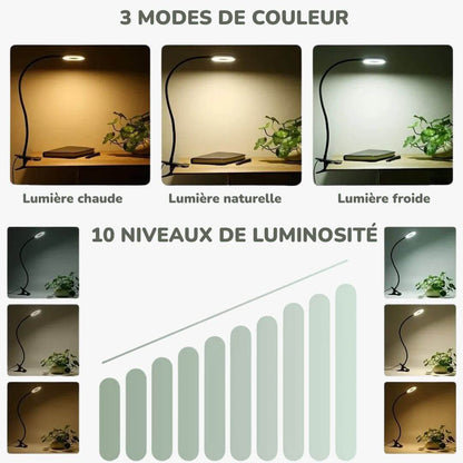 Lampe de Bureau LED à Clip – ClipLight360™